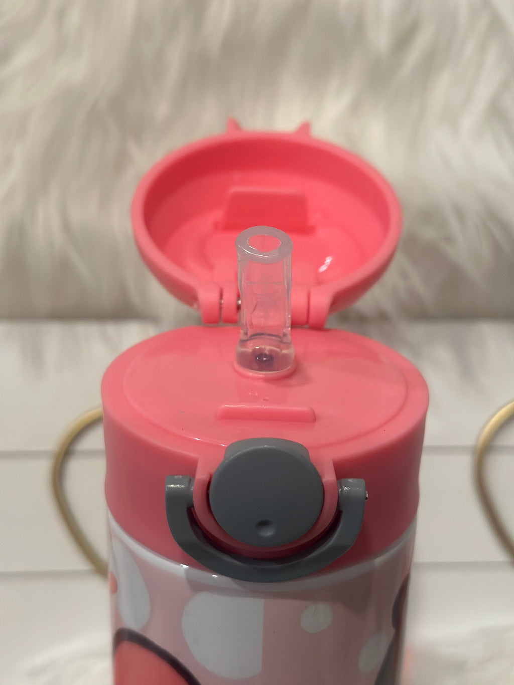 HELLO KITTY FRIENDS KIDS WATER BOTTLE